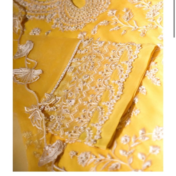 Agha Noor Pure Organza 3 piece Kameez/pant dupatta/stole -Pakistani designer - Picture 3 of 6